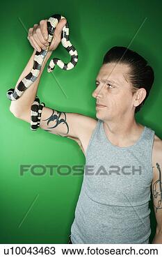 Stock Photo - caucasian mid-adult 
male holding california 
king snake. fotosearch 
- search stock 
photos, pictures, 
images, and photo 
clipart