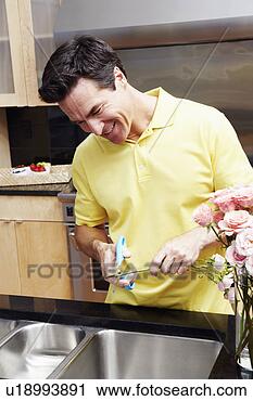 Stock Photography - mature man cutting 
a stem of a rose. 
fotosearch - search 
stock photos, 
pictures, images, 
and photo clipart