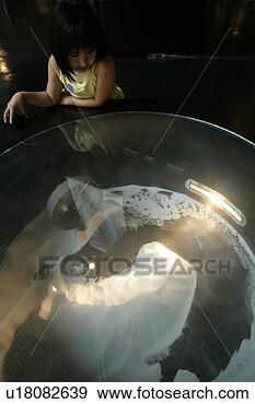 Stock Photograph - girl observing 
model, elevated 
view. fotosearch 
- search stock 
photos, pictures, 
images, and photo 
clipart