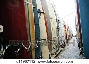 Stock Photo - view of surfboards 
aligned in a row. 
fotosearch - search 
stock photos, 
pictures, images, 
and photo clipart