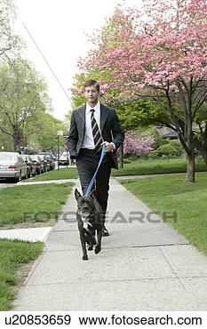 Stock Photograph - business man walking 
the dog. fotosearch 
- search stock 
photos, pictures, 
images, and photo 
clipart
