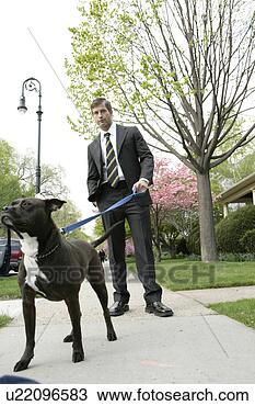 Stock Photo - business man walking 
dog. fotosearch 
- search stock 
photos, pictures, 
images, and photo 
clipart