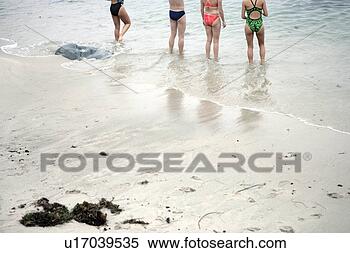 Stock Image - group of people 
standing on a 
beach. fotosearch 
- search stock 
photos, pictures, 
images, and photo 
clipart