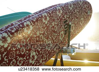 Stock Photo - view of floral 
designed surfboard. 
fotosearch - search 
stock photos, 
pictures, images, 
and photo clipart