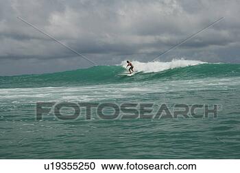 Stock Photography - a woman is surfboarding. 
fotosearch - search 
stock photos, 
pictures, images, 
and photo clipart