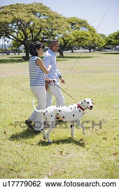 Stock Photo - husband and wife 
walking with dog. 
fotosearch - search 
stock photos, 
pictures, images, 
and photo clipart