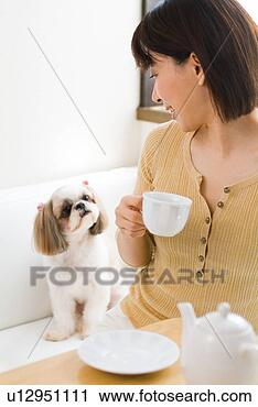Stock Photography - a mid adult woman 
looking at a dog. 
fotosearch - search 
stock photos, 
pictures, images, 
and photo clipart