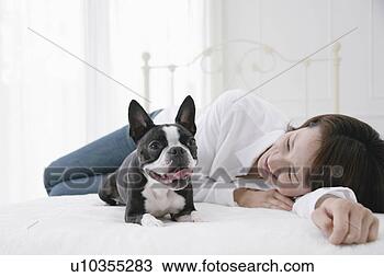 Stock Photo - young woman and 
boston terrier. 
fotosearch - search 
stock photos, 
pictures, images, 
and photo clipart
