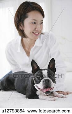 Stock Photo - young woman and 
boston terrier. 
fotosearch - search 
stock photos, 
pictures, images, 
and photo clipart