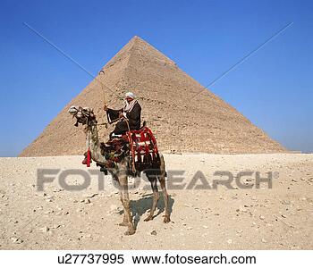 Stock Image - side view of a 
camel rider in 
front of pyramid, 
giza, egypt. fotosearch 
- search stock 
photos, pictures, 
images, and photo 
clipart