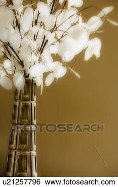 Stock Photo - indoor plant in 
vase. fotosearch 
- search stock 
photos, pictures, 
images, and photo 
clipart