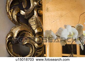 Stock Photo - reflection of 
orchids in ornate 
gold mirror. fotosearch 
- search stock 
photos, pictures, 
images, and photo 
clipart