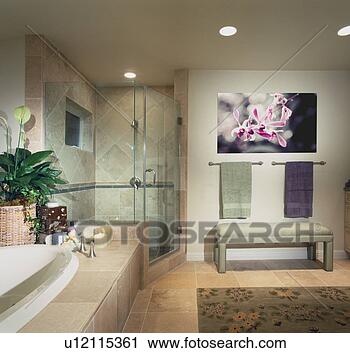 Stock Photography - elegant contemporary 
master bathroom. 
fotosearch - search 
stock photos, 
pictures, images, 
and photo clipart