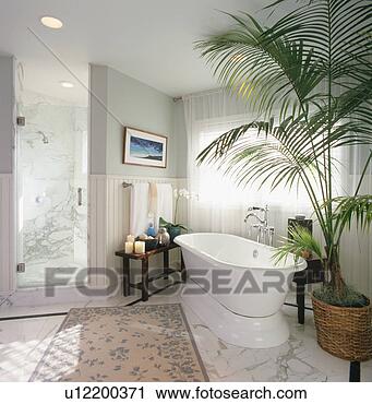 Stock Photography - elegant contemporary 
master bathroom. 
fotosearch - search 
stock photos, 
pictures, images, 
and photo clipart