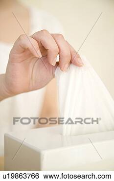 Stock Photo - paper tissue. 
fotosearch - search 
stock photos, 
pictures, images, 
and photo clipart