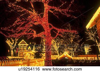 Stock Photo - holiday lights 
in portland oregon. 
fotosearch - search 
stock photos, 
pictures, images, 
and photo clipart
