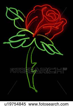 Stock Image - red neon rose. 
fotosearch - search 
stock photos, 
pictures, images, 
and photo clipart