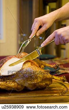 Stock Photograph - carving breast 
meat of thanksgiving 
turkey. fotosearch 
- search stock 
photos, pictures, 
images, and photo 
clipart