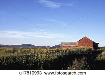 Stock Photo - wide open spaces 
of farmland. fotosearch 
- search stock 
photos, pictures, 
images, and photo 
clipart