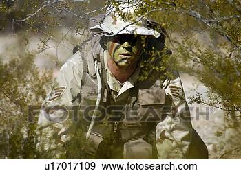 Stock Photograph - soldier practices 
evasion maneuvers 
during a combat 
survival training. 
fotosearch - search 
stock photos, 
pictures, images, 
and photo clipart