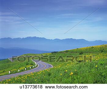 Stock Photo - a country road, 
 surrounded by 
a yellow-colored 
flower field and. 
fotosearch - search 
stock photos, 
pictures, images, 
and photo clipart