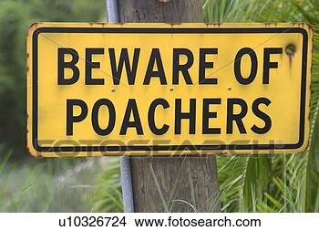 [Image: beware-poachers_~u10326724.jpg]