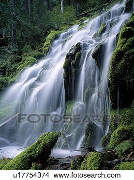 Stock Photo - forest waterfall. 
fotosearch - search 
stock photos, 
pictures, images, 
and photo clipart