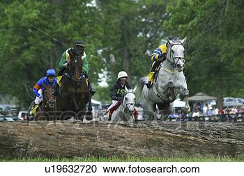 Stock Photography - horses jumping 
log in steeplechase 
race. fotosearch 
- search stock 
photos, pictures, 
images, and photo 
clipart