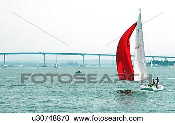 Stock Photography - sailing in san 
diego bay - coronado 
bridge in background. 
fotosearch - search 
stock photos, 
pictures, images, 
and photo clipart