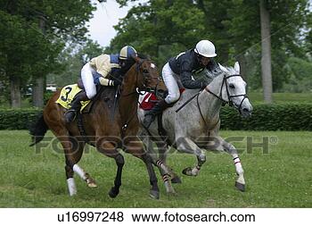 Stock Photo - two horses racing 
neck and neck. 
fotosearch - search 
stock photos, 
pictures, images, 
and photo clipart