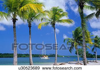 Stock Photograph - sailing boat anchored 
on a inviting 
beach with a warmth. 
fotosearch - search 
stock photos, 
pictures, images, 
and photo clipart