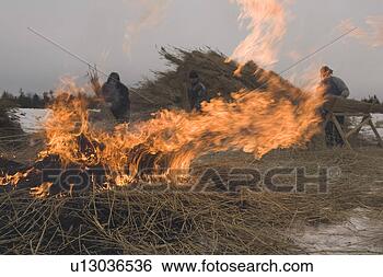 Stock Photo - burning, day, 
field, fire, flame. 
fotosearch - search 
stock photos, 
pictures, images, 
and photo clipart