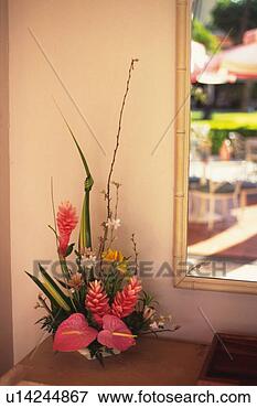 Picture - flower arrangement 
by the wall, differential 
focus. fotosearch 
- search stock 
photos, pictures, 
images, and photo 
clipart