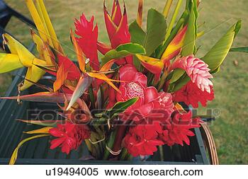 Stock Image - high angle view 
of a flower bouquet 
in a box, differential 
focus. fotosearch 
- search stock 
photos, pictures, 
images, and photo 
clipart