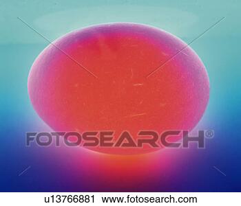 Stock Photography - illuminated egg, 
close up. fotosearch 
- search stock 
photos, pictures, 
images, and photo 
clipart