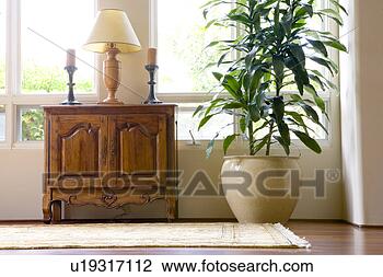 Stock Photo - low perspective 
of large potted 
plant next to 
wooden furniture 
with. fotosearch 
- search stock 
photos, pictures, 
images, and photo 
clipart