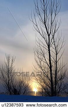 Inverno, pôr do sol, através, árvores, snowfence
Ampliar Foto Banco de Imagem - inverno, pôr
do sol, através,
árvores, snowfence.
fotosearch - busca
de fotos, imagens
e clipart