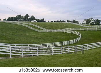 Stock Image - winding white 
fences at kentucky 
horse farm. fotosearch 
- search stock 
photos, pictures, 
images, and photo 
clipart