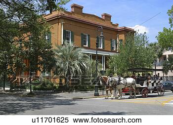 Stock Image - horse drawn carriage 
on savannah street. 
fotosearch - search 
stock photos, 
pictures, images, 
and photo clipart