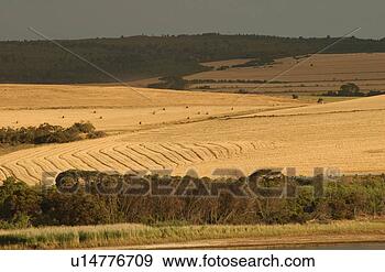 Stock Photograph - coastal landscape 
in south africa. 
fotosearch - search 
stock photos, 
pictures, images, 
and photo clipart
