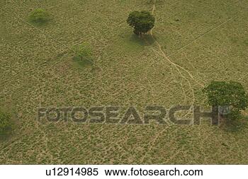 Stock Image - agriculture, calm, 
aerial view. fotosearch 
- search stock 
photos, pictures, 
images, and photo 
clipart