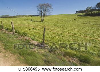 Stock Image - barbed wire fence, 
climate, condition. 
fotosearch - search 
stock photos, 
pictures, images, 
and photo clipart