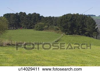 Stock Photography - blue, climate, 
atmosphere. fotosearch 
- search stock 
photos, pictures, 
images, and photo 
clipart