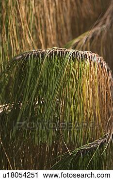 Stock Photography - calm, climate, 
condition. fotosearch 
- search stock 
photos, pictures, 
images, and photo 
clipart