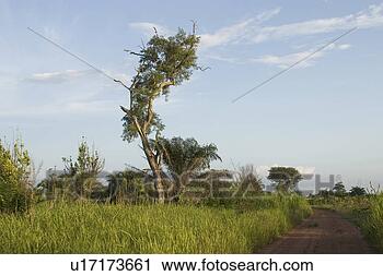 Stock Photography - climate, clouds. 
fotosearch - search 
stock photos, 
pictures, images, 
and photo clipart
