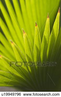 Stock Photo - day, outdoors. 
fotosearch - search 
stock photos, 
pictures, images, 
and photo clipart