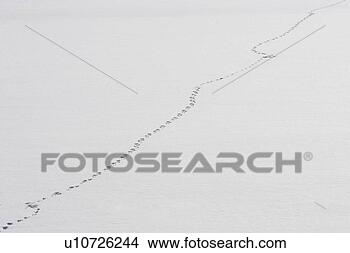 Stock Photo - background, climate, 
appearance. fotosearch 
- search stock 
photos, pictures, 
images, and photo 
clipart