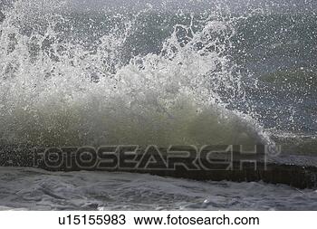 Stock Photo - breaking, close-up, 
coast. fotosearch 
- search stock 
photos, pictures, 
images, and photo 
clipart