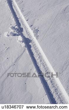 Picture - close-up, day, 
full frame, ice. 
fotosearch - search 
stock photos, 
pictures, images, 
and photo clipart