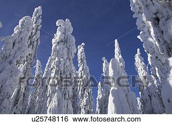 Stock Photo - outdoors, shadow, 
snow. fotosearch 
- search stock 
photos, pictures, 
images, and photo 
clipart
